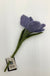 Felt Flowers - Crocus Purple