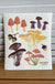 Field Mushrooms - Swedish Dishcloths from Ecologie