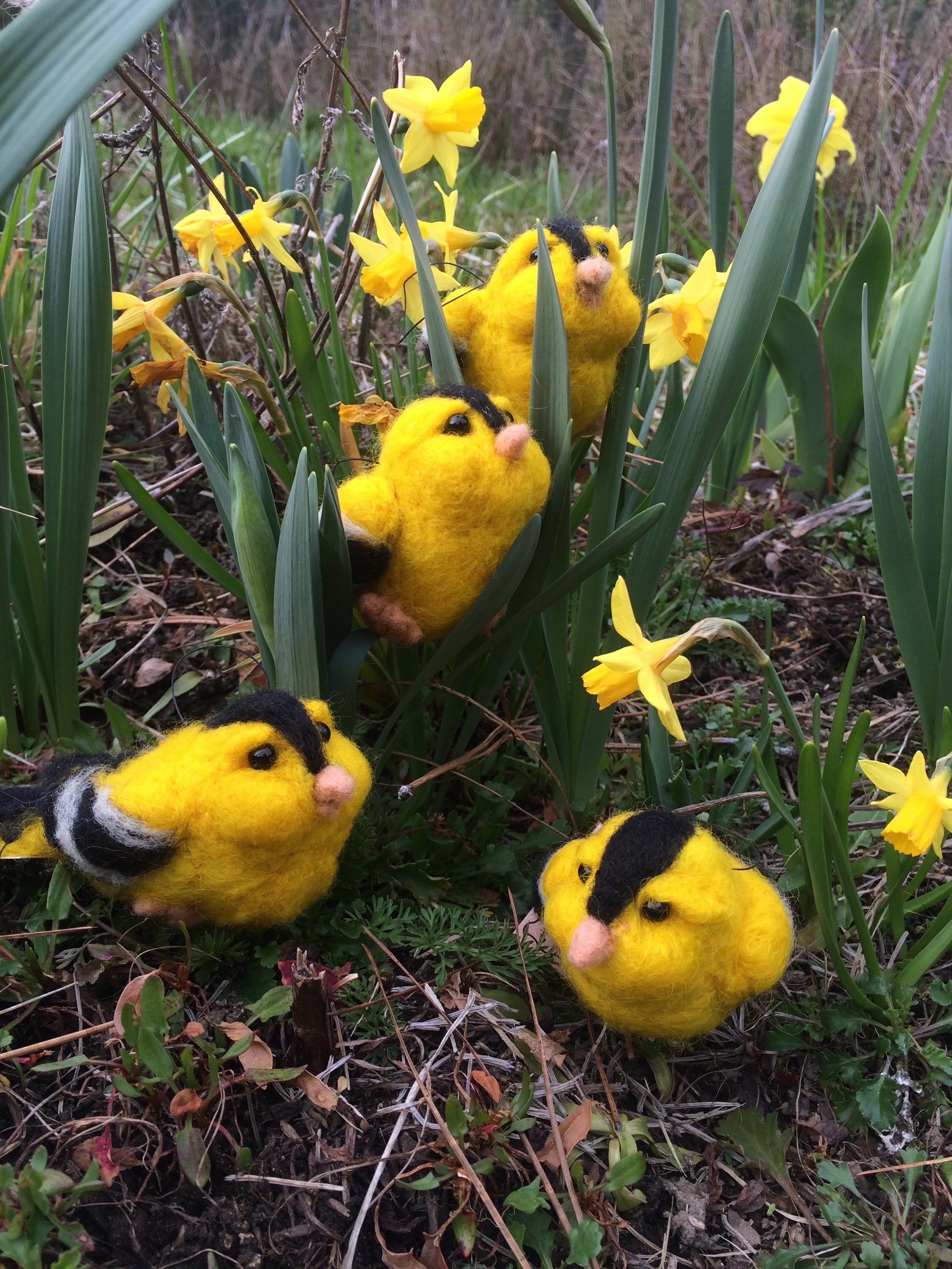 Needle Felted Birds & Owls workshop