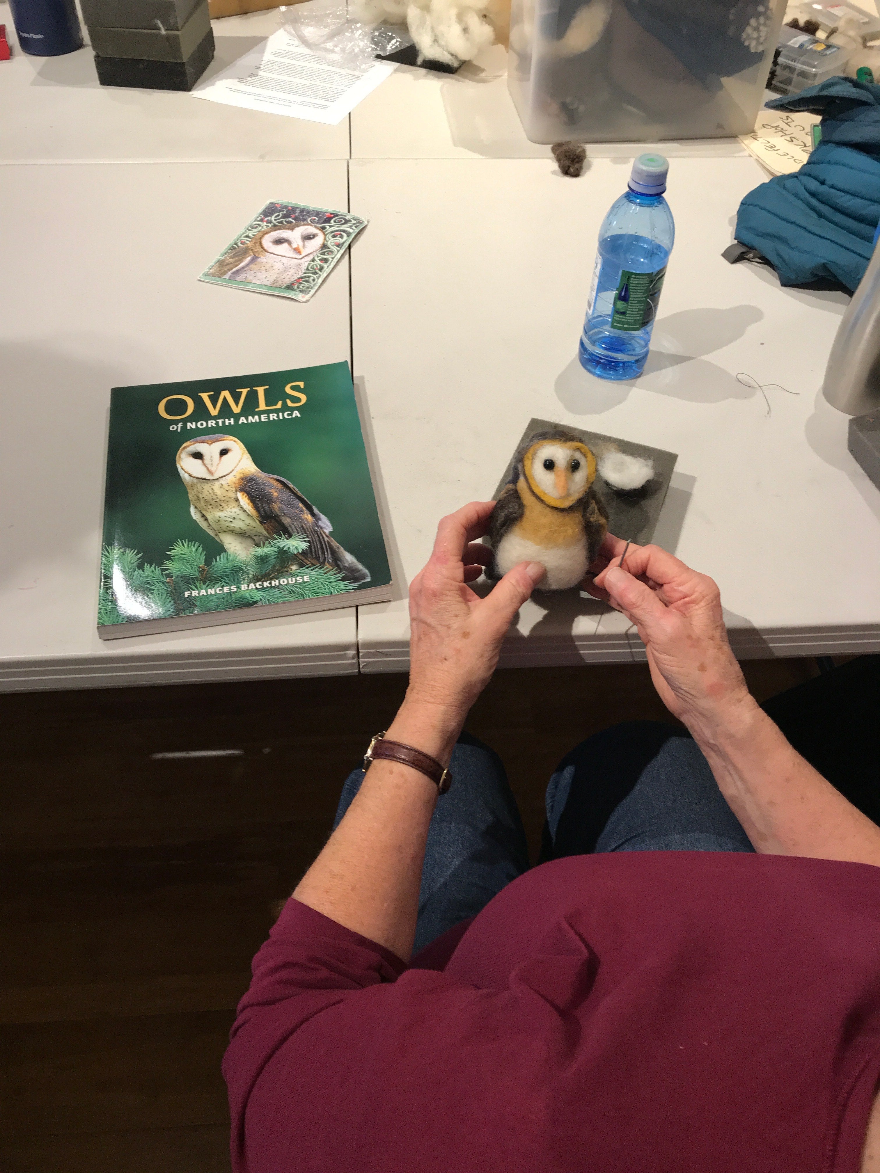 Needle Felted Birds & Owls workshop