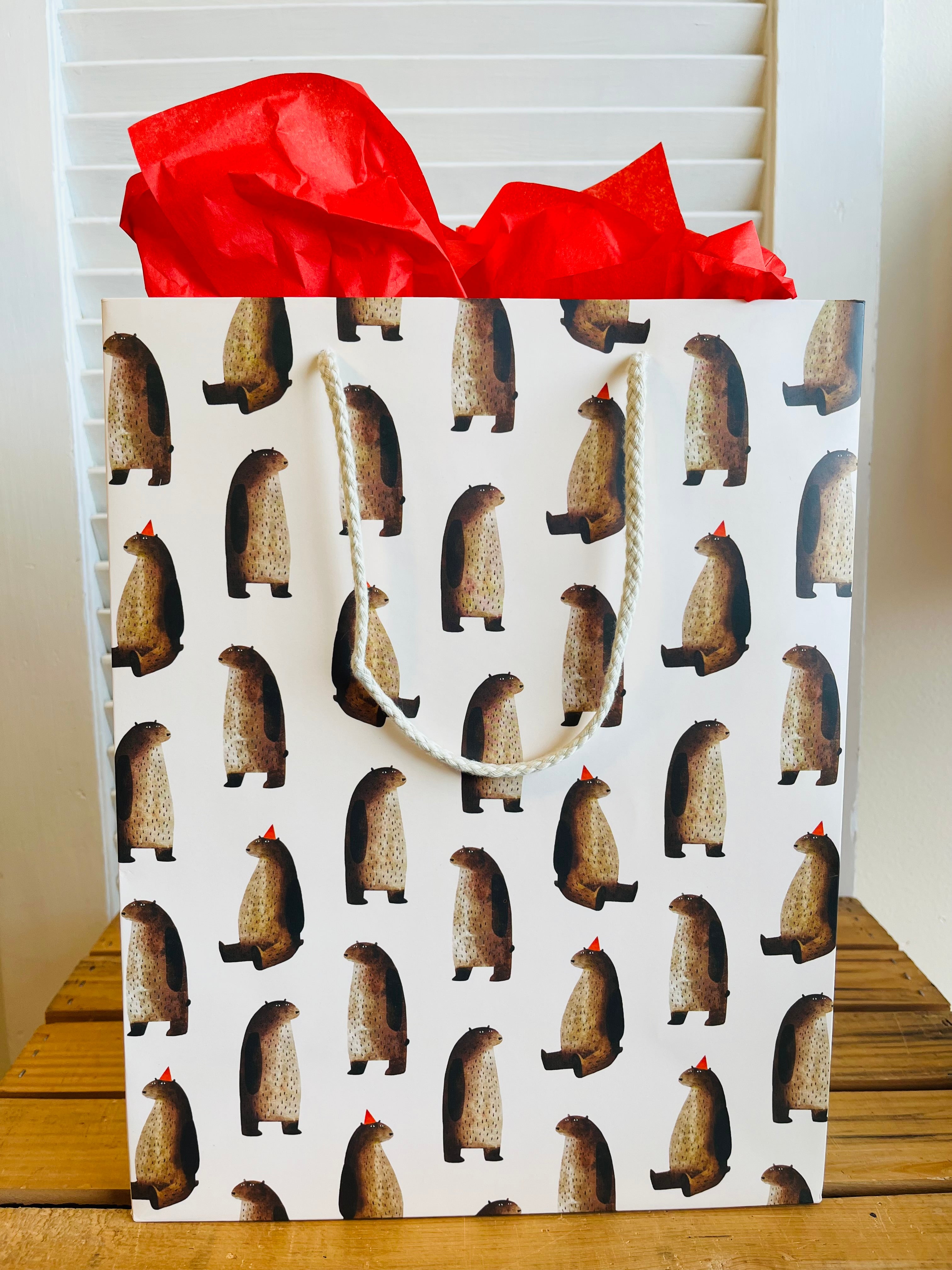 Paper Gift Bags