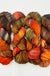 Little Bird - Stream Sock
