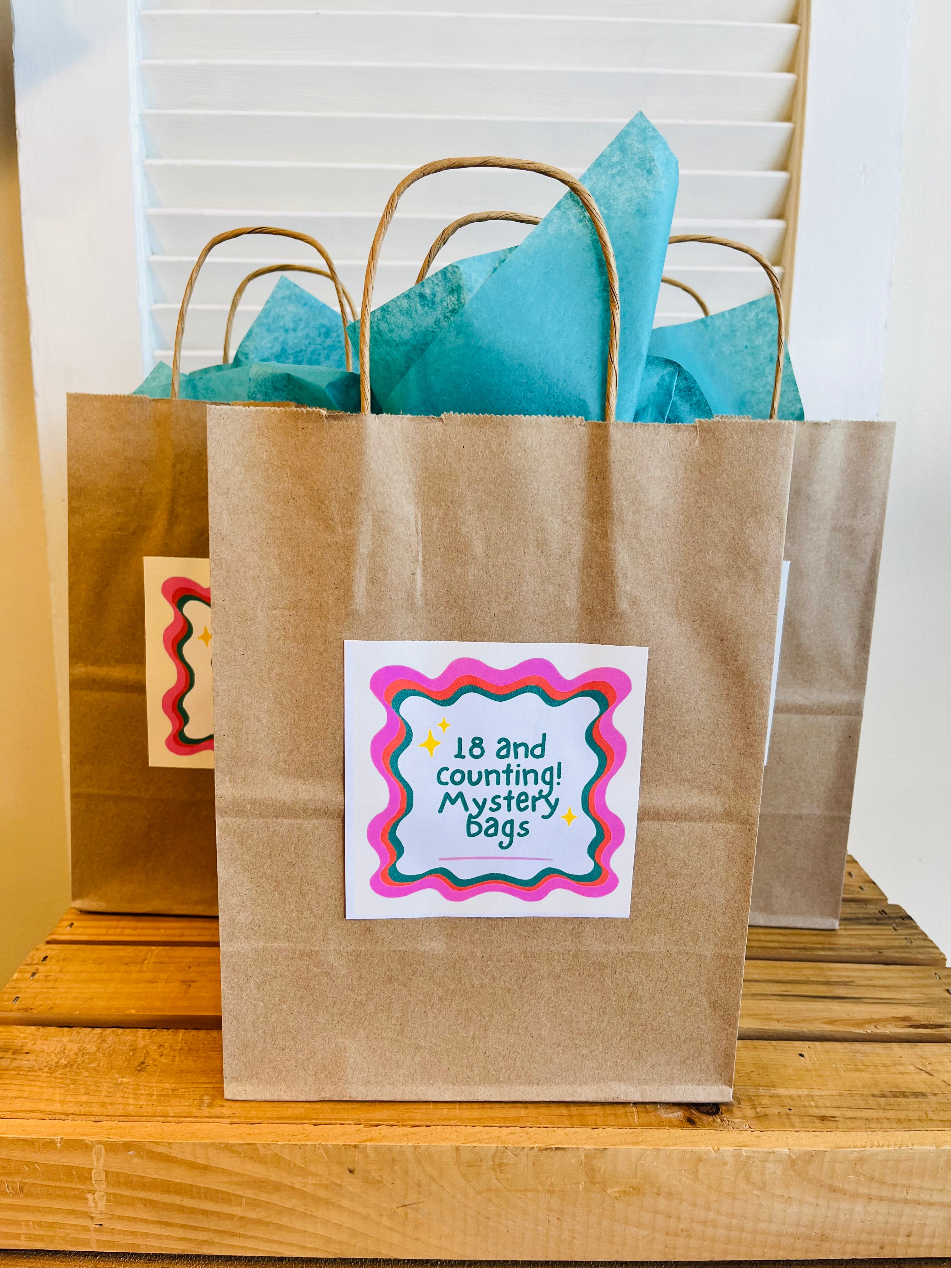 18 and Counting Mystery Bags