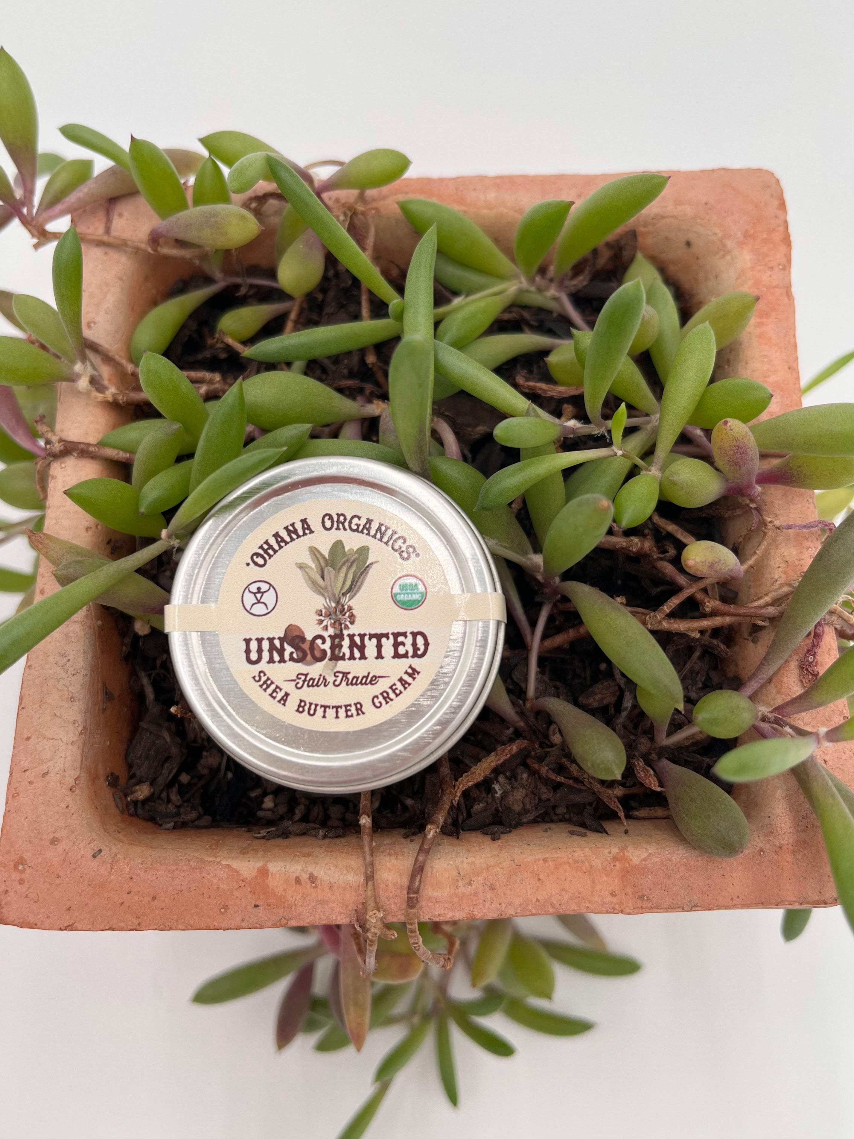 Organic Shea Butter Cream from Ohana Organics