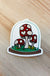 Mushroom Terrarium