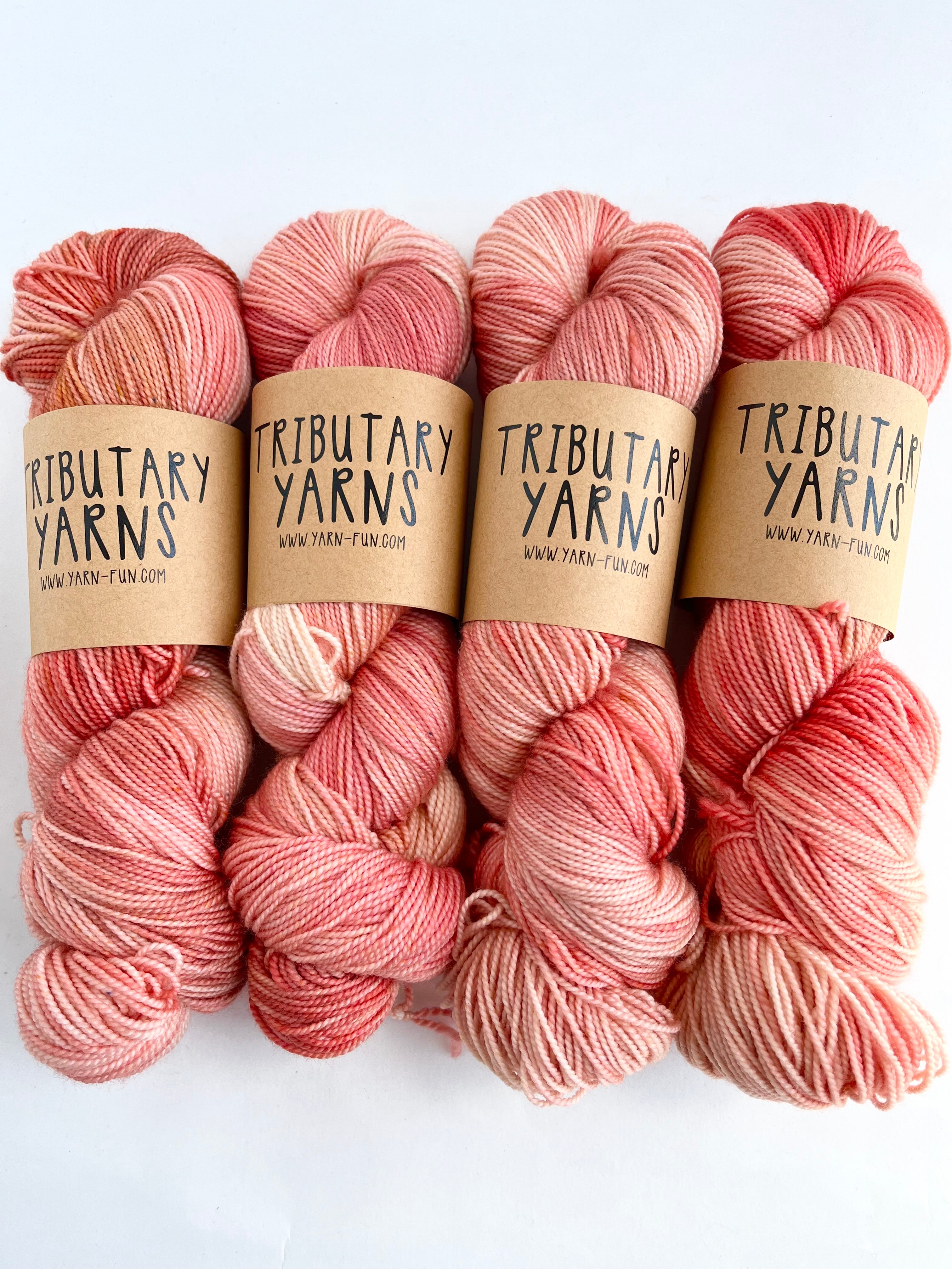 Color of the Month club from Tributary Yarns