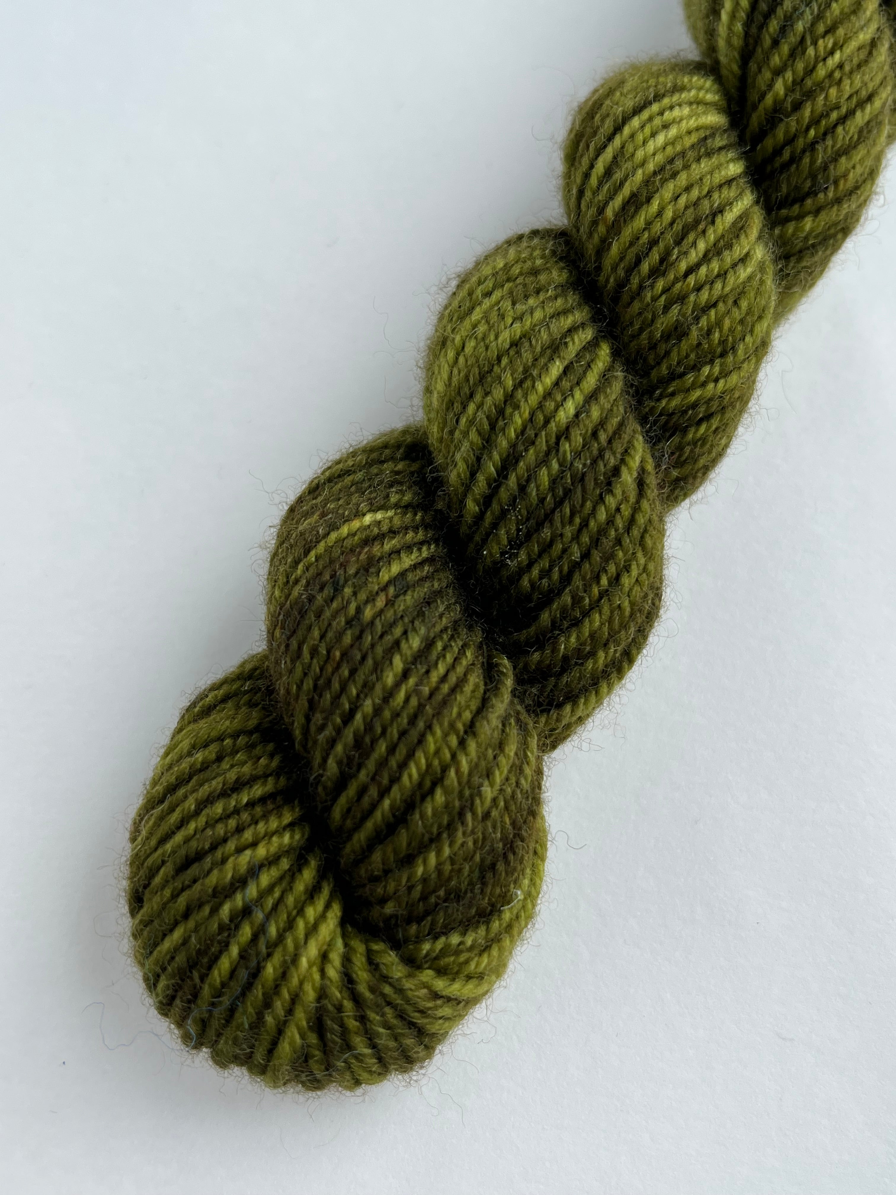 Kelp Forest - Swale Sport minis from Sea Change Fibers