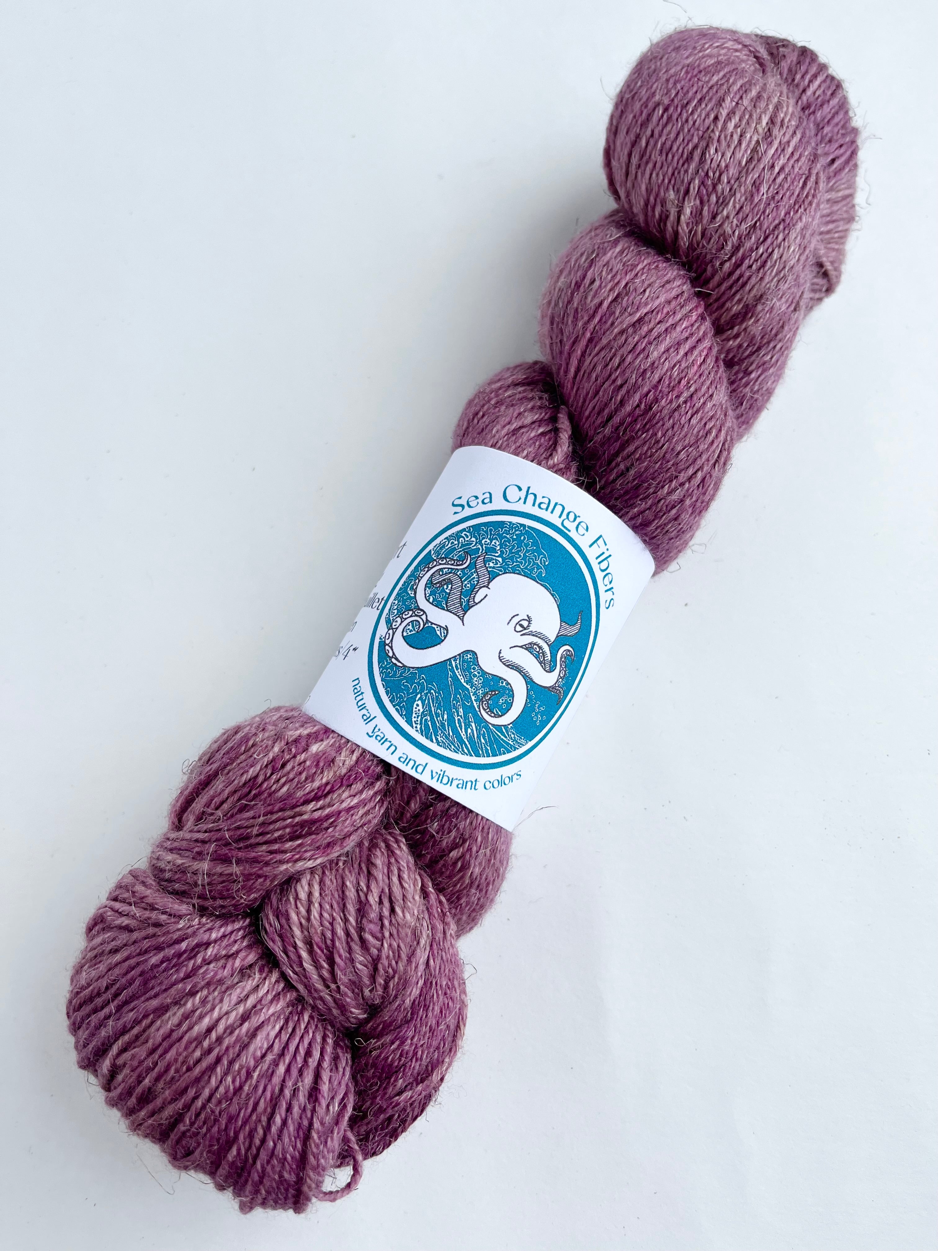 Dusk - Shoreline Sport