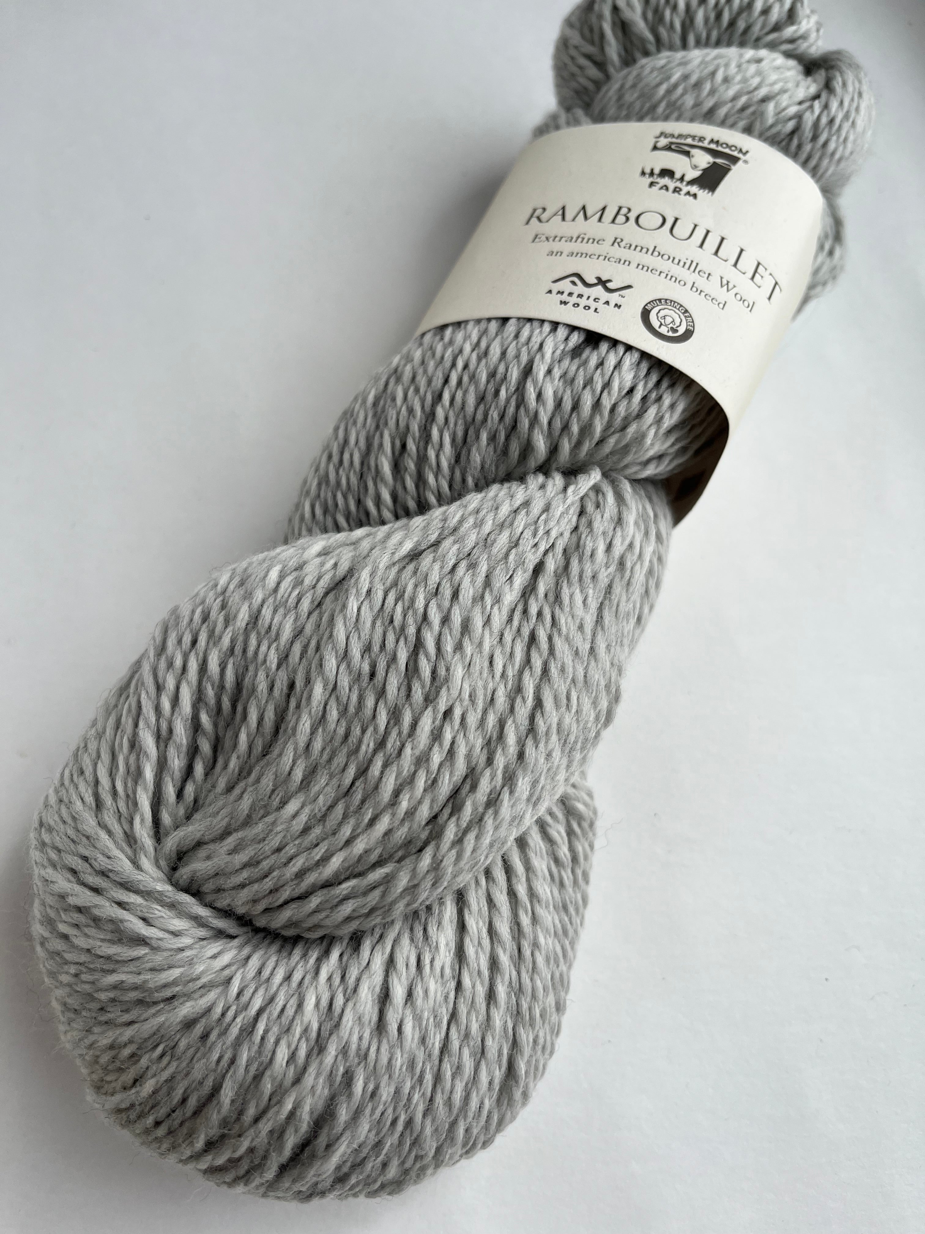 Silver Lining - Rambouillet from Juniper Moon Farm