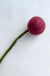 Felt Flowers - Billy Ball Wine Red