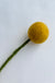 Felt Flowers - Billy Ball Yellow