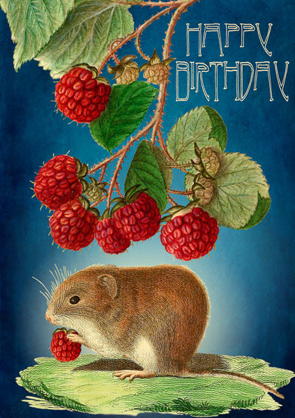 Field Mouse happy birthday cards from Madame Treacle