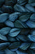 Deep Ocean - Nube from Malabrigo